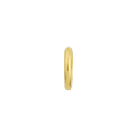 14kt Yellow Gold Small Hoop Earrings (1.3g)