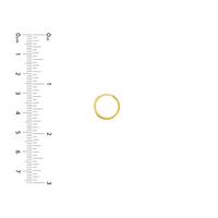 14kt Yellow Gold Small Hoop Earrings (1.52g)