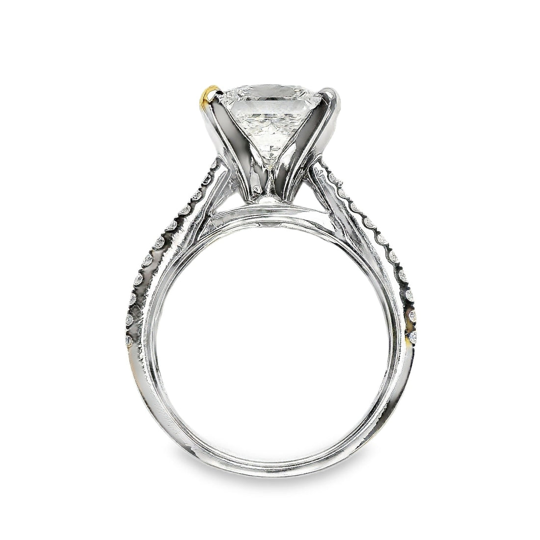 18kt White Gold Prong Set Triple-Shank Lab-Grown Princess and Natural Round Diamonds Engagement Ring (3.64ct)