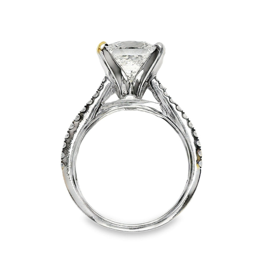 18kt White Gold Prong Set Triple-Shank Lab-Grown Princess and Natural Round Diamonds Engagement Ring (3.64ct)