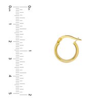 14kt Yellow Gold Medium Hoop Earrings (1.63g)