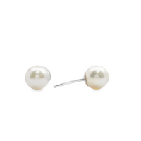 14kt White Gold Japanese Akoya Cultured Pearl Earrings (5.5-6mm)