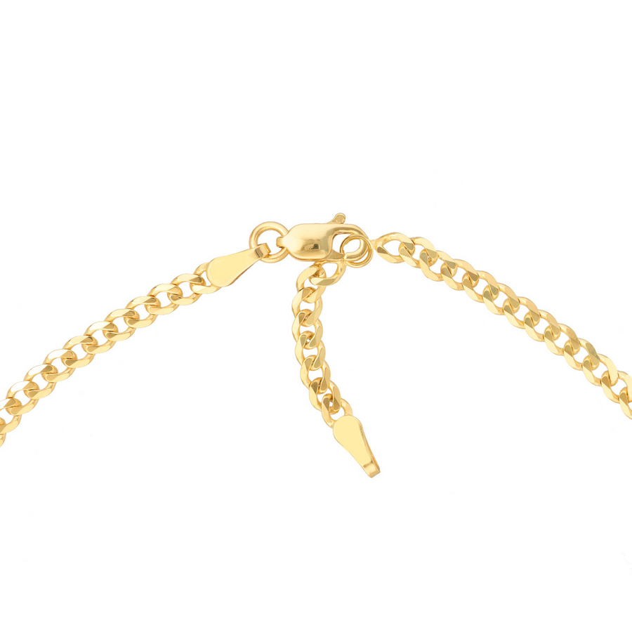 14K Yellow Gold 10" 2.7mm Curb Anklet (3.68g)