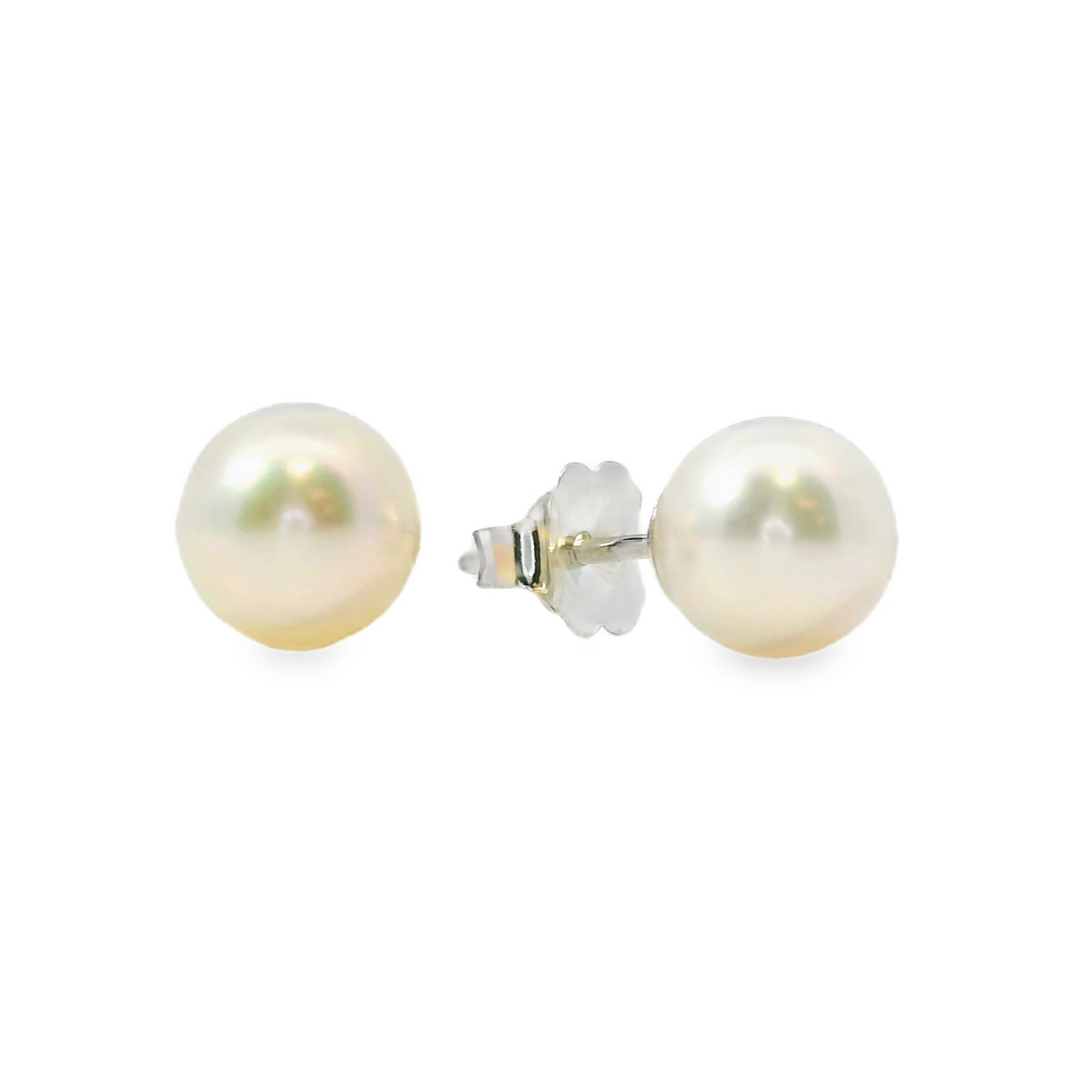 14kt White Gold Japanese Akoya Pearl(6.5-7mm) Earrings